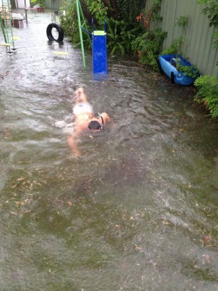 Прикольные картинки (67 фото)