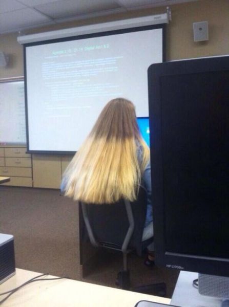 Прикольные картинки (67 фото)