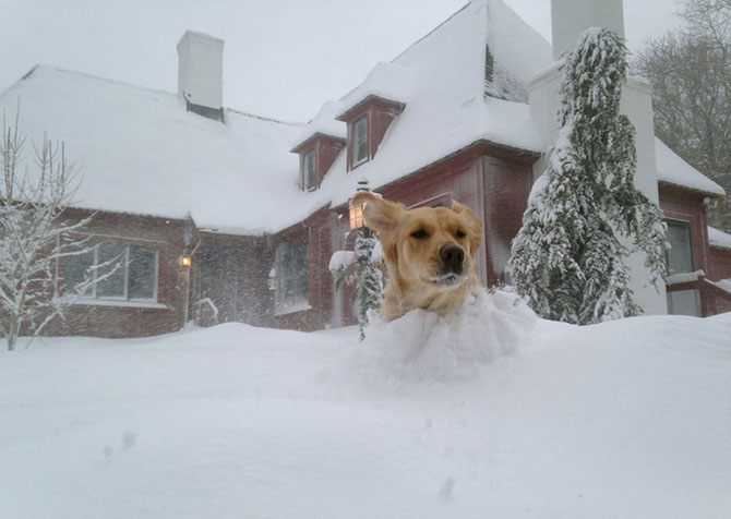 Настоящая зима по-американски