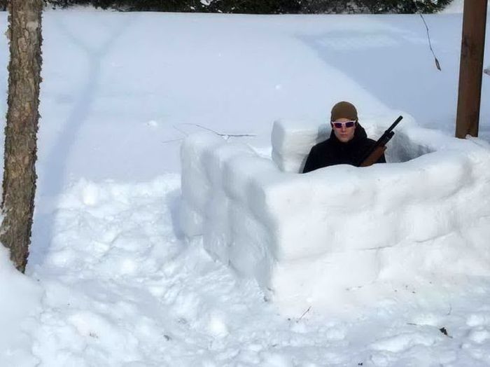 Порция картинок