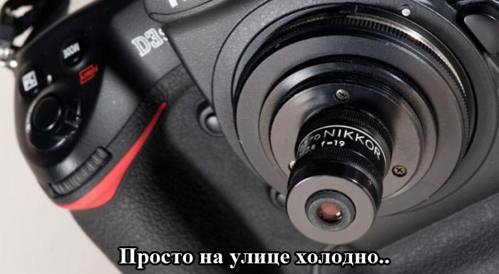 Порция картинок