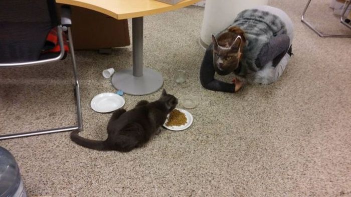 Порция картинок