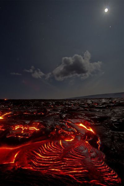 Порция картинок