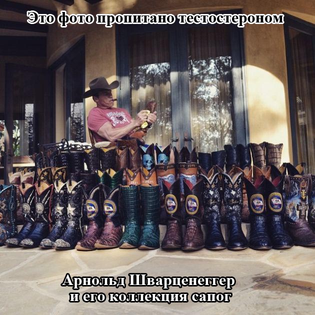 Порция картинок