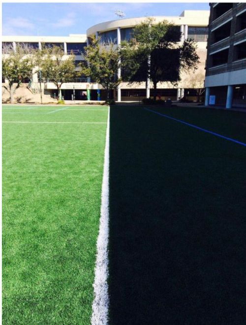 Порция картинок