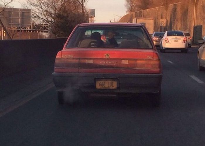 Порция картинок