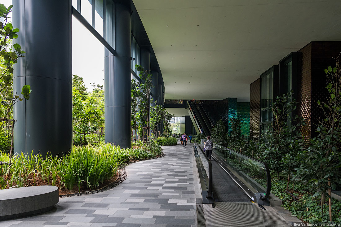 Офис Google в Сингапуре: хотели бы здесь работать?