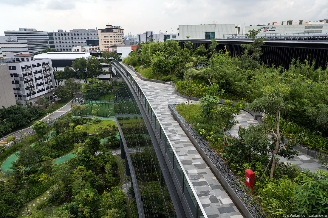 Офис Google в Сингапуре: хотели бы здесь работать?