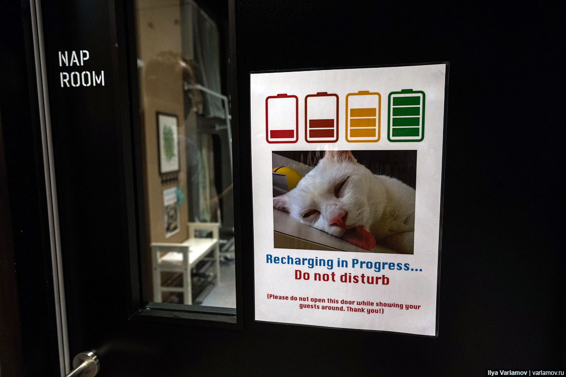 Офис Google в Сингапуре: хотели бы здесь работать?