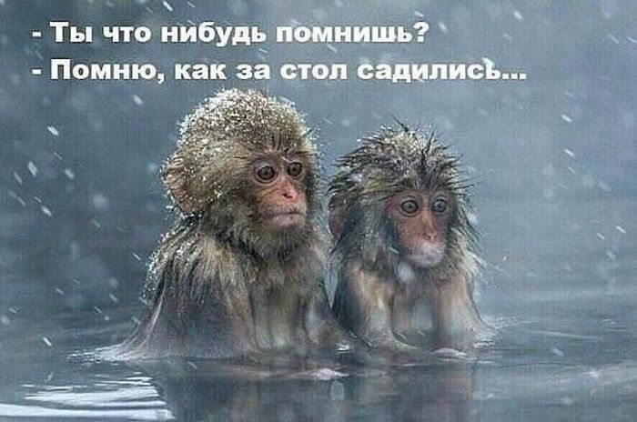 Женский юмор из соцсетей