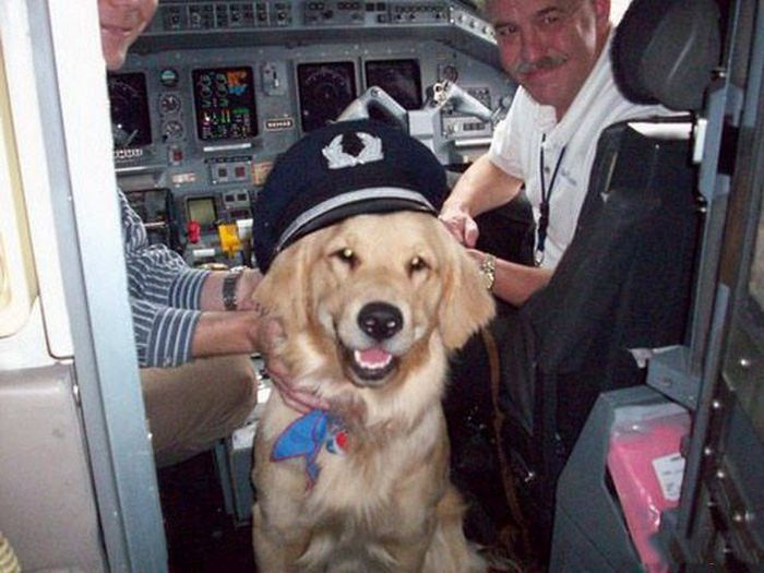 Самолеты и юмор