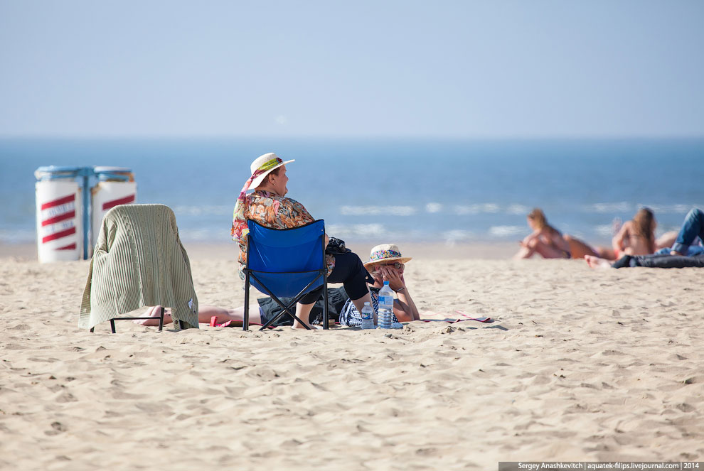 Пляж мировой кинобогемы Пляж мировой кинобогемы