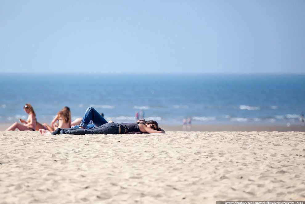 Пляж мировой кинобогемы Пляж мировой кинобогемы