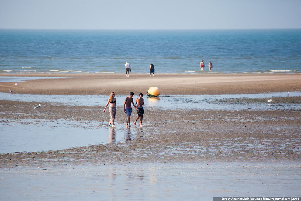 Пляж мировой кинобогемы Пляж мировой кинобогемы