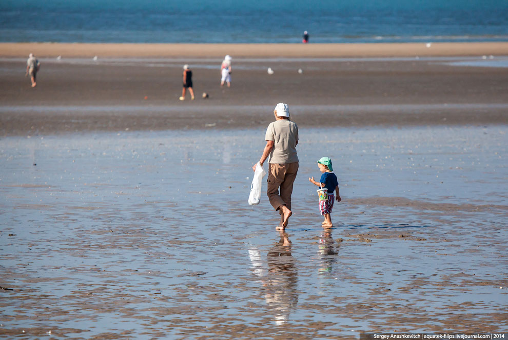 Пляж мировой кинобогемы Пляж мировой кинобогемы