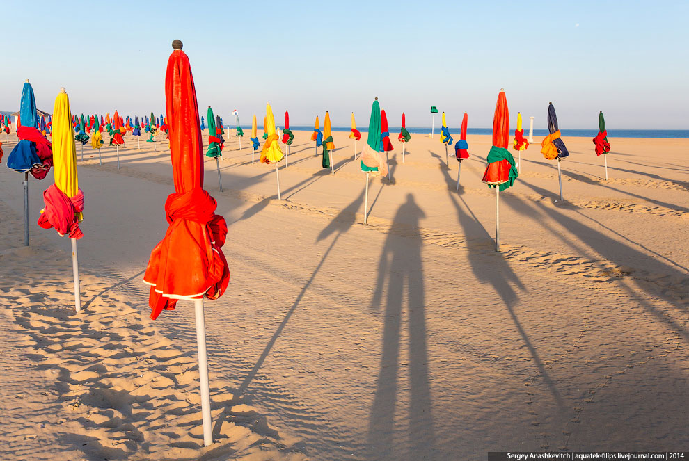 Пляж мировой кинобогемы Пляж мировой кинобогемы