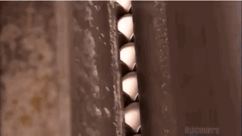 Увлекательные гифки с производства сладостей