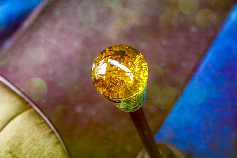 Новая жизнь «Жука»