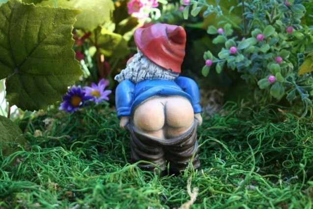 Интересные факты о заднице Интересные факты о заднице