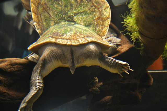 Интересные факты о заднице Интересные факты о заднице