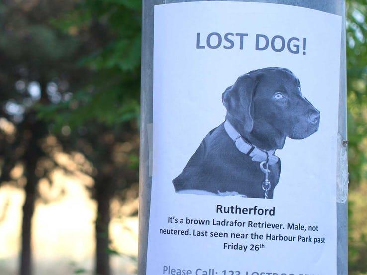 Несколько ужасных историй о том, как людям пришлось встретиться со страшными и непонятными личностями Несколько ужасных историй о том, как людям пришлось встретиться со страшными и непонятными личностями