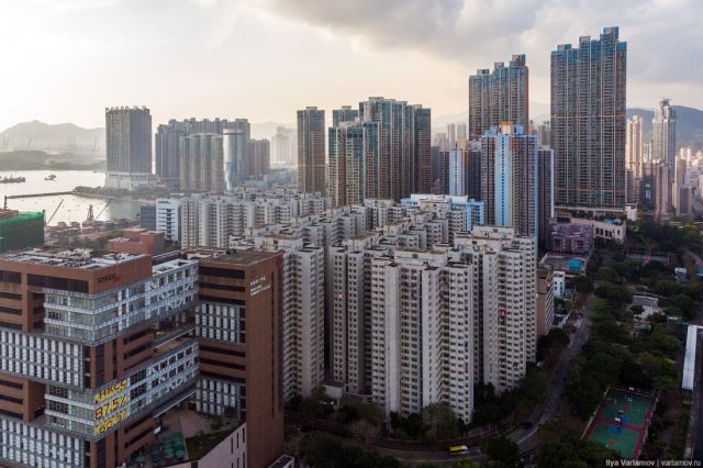 Городские бетонные джунгли во всей красе