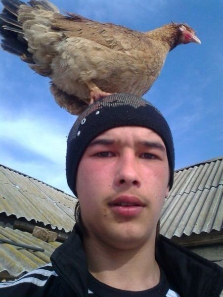 Герои соцсетей (57 фото)