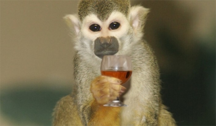 Странные и дорогостоящие проекты американского правительства