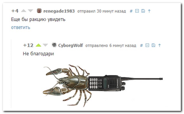 Смешные комментарии из социальных сетей