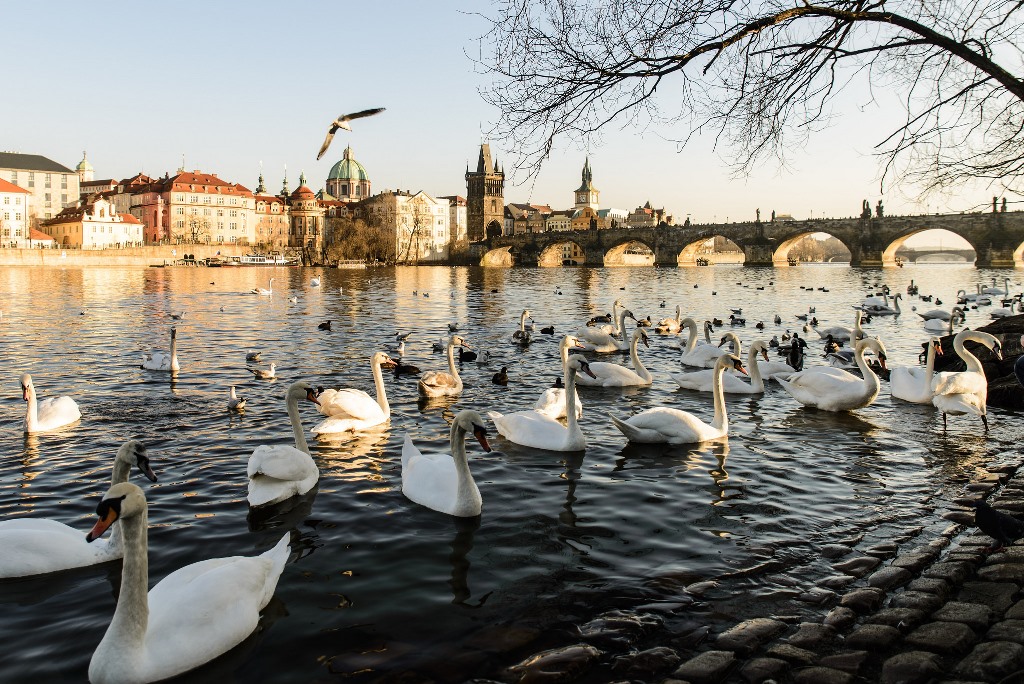 Срок, за который европеец может заработать себе на квартиру