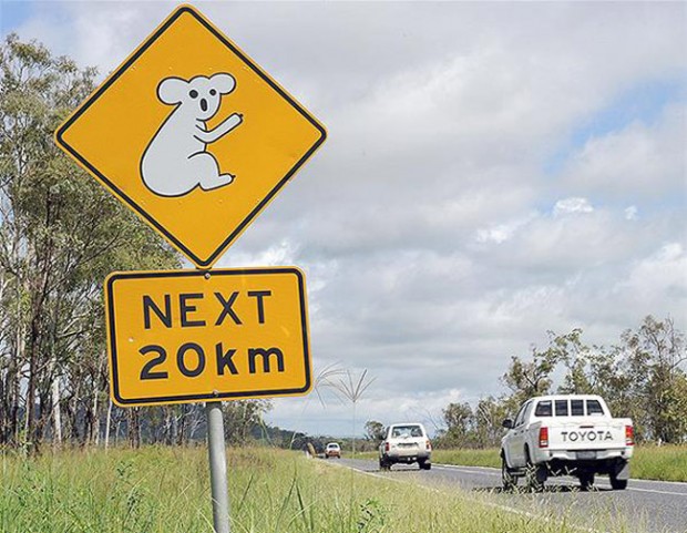Особенности национального вождения Особенности национального вождения