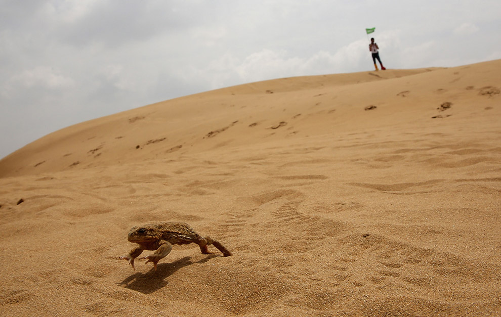 Необычный отель Песчаный Лотос и курорт в пустыне Xiangshawan Необычный отель Песчаный Лотос и курорт в пустыне Xiangshawan