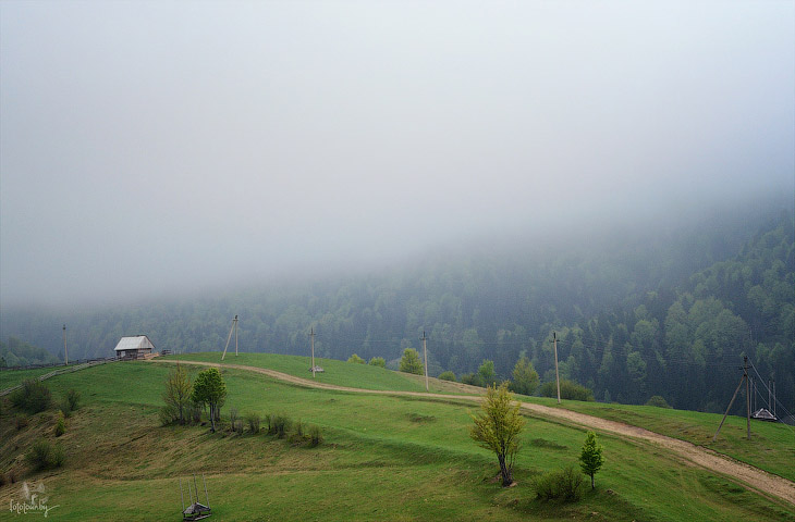 Весна на Карпатах