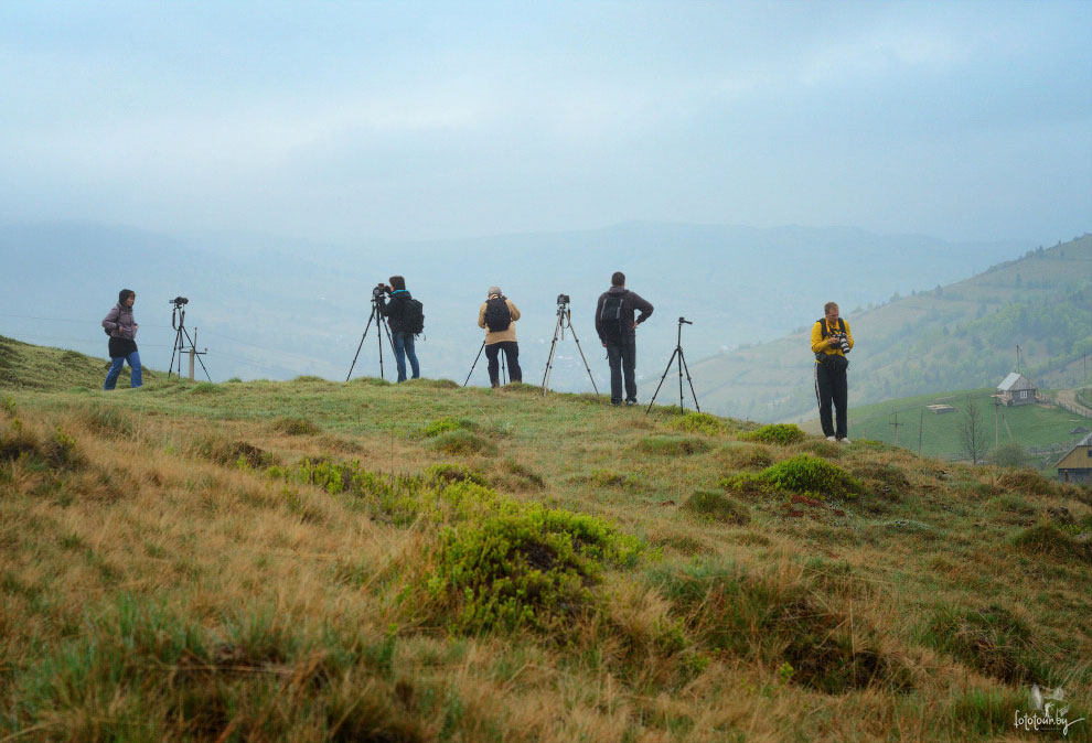 Весна на Карпатах