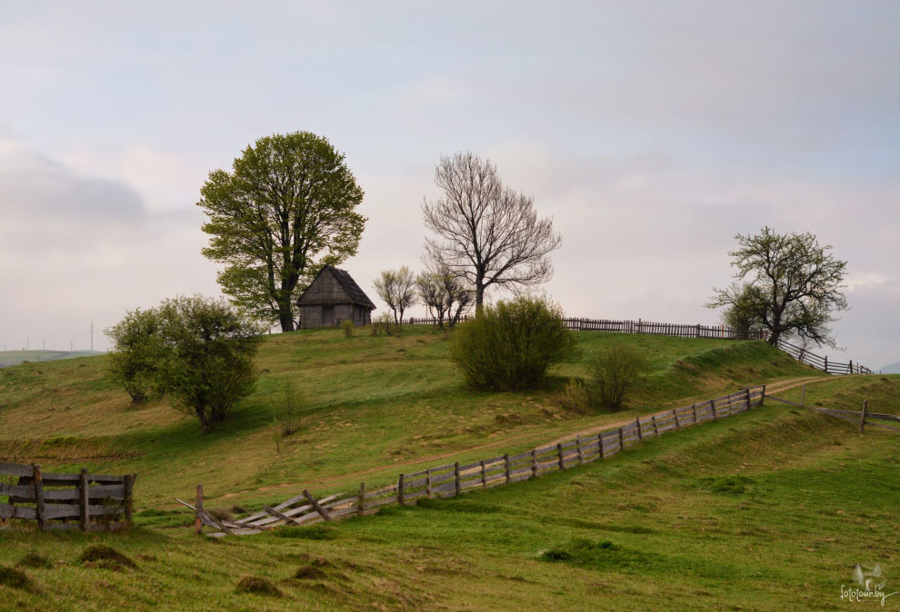 Весна на Карпатах