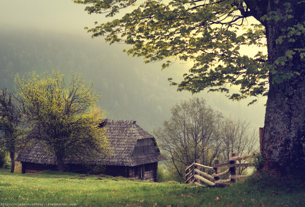 Весна на Карпатах