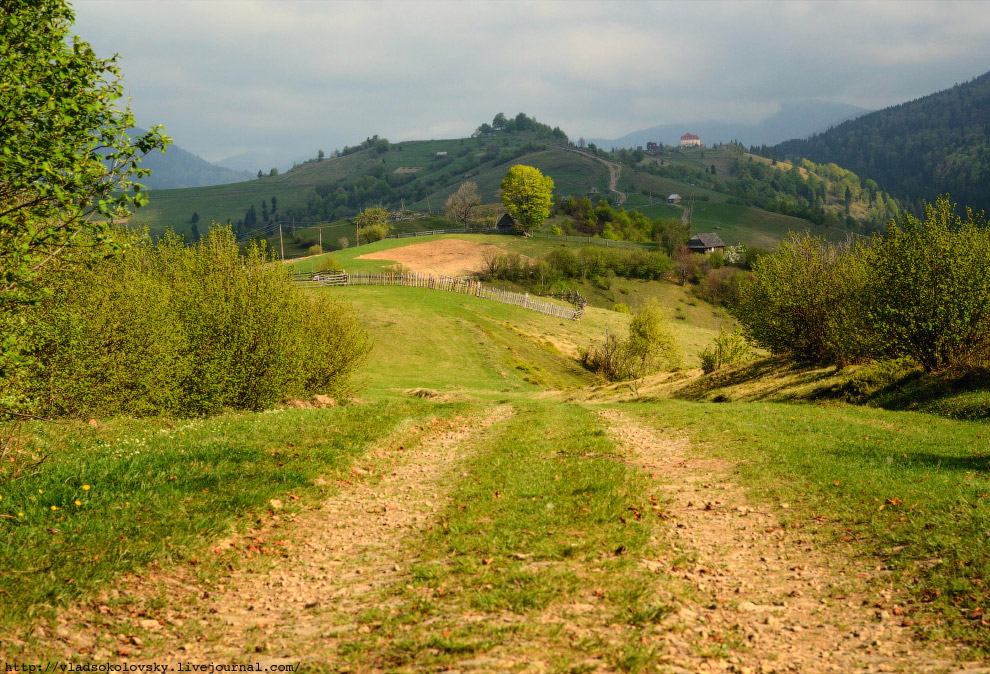 Весна на Карпатах