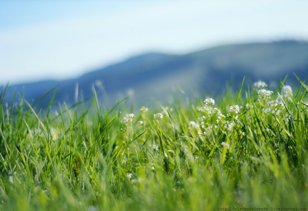 Весна на Карпатах