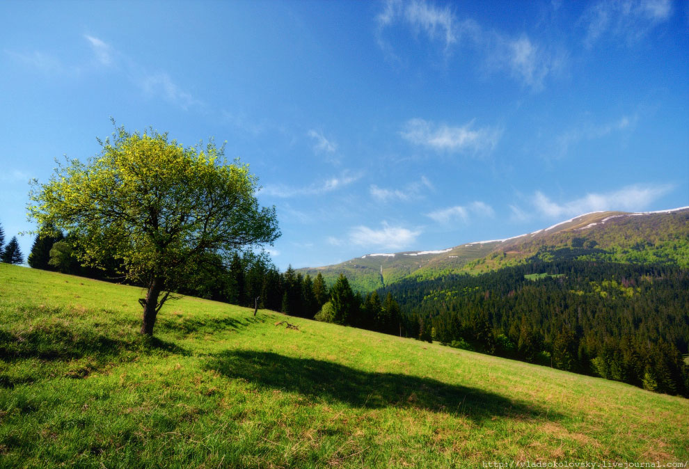 Весна на Карпатах