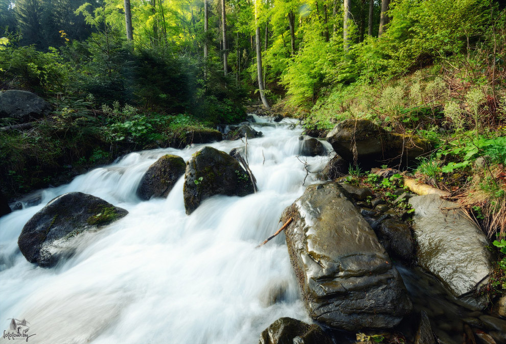 Весна на Карпатах