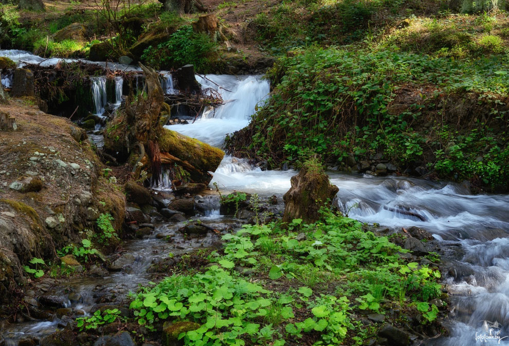 Весна на Карпатах