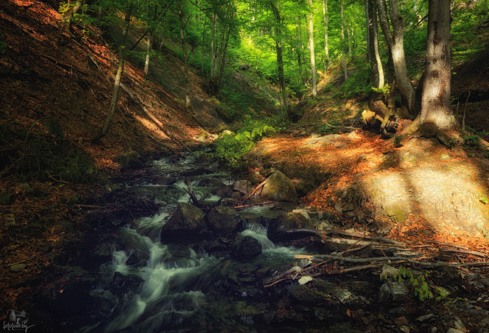 Весна на Карпатах