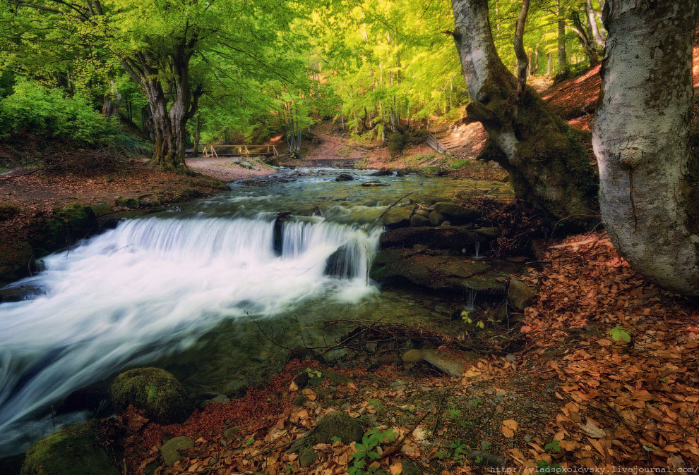 Весна на Карпатах