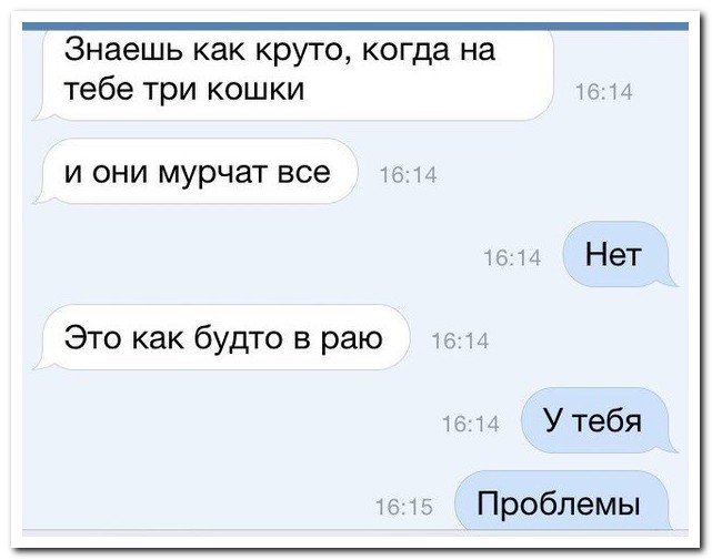 Смешные комментарии из социальных сетей