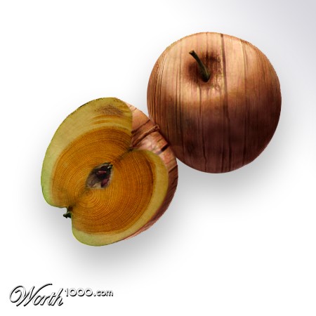 Все из дерева (30 фото)