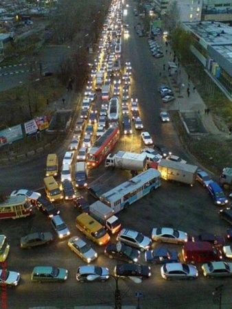 Прикольные картинки