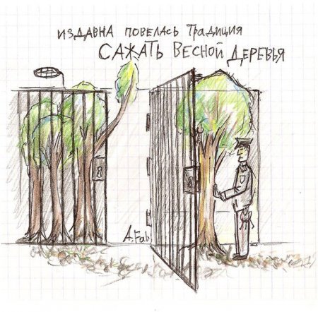 Прикольные картинки