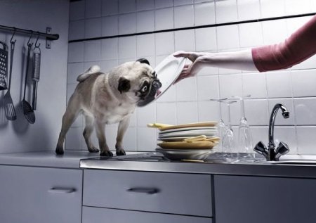 Прикольные картинки