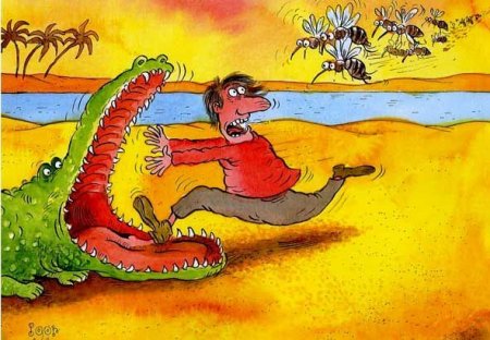 Прикольные картинки