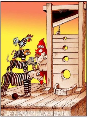 Прикольные картинки